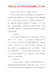 国有企业2025年民主生活会整改工作方案