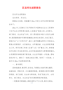 区总河长述职报告