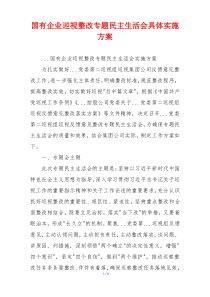 国有企业巡视整改专题民主生活会具体实施方案