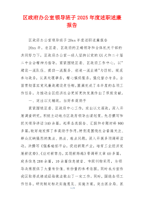 区政府办公室领导班子2025年度述职述廉报告