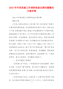 2025年市局党建工作调研检查反馈问题整改方案详情
