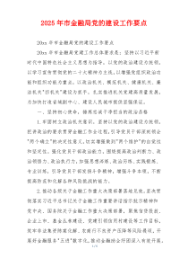 2025年市金融局党的建设工作要点