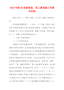 2025年度XX党委党组、党工委党建工作情况总结