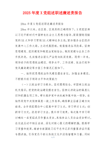 2025年度X党组述职述廉述责报告