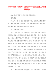 2025年度“两新”党组织书记抓党建工作述职报告