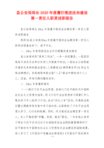 县公安局局长2025年度履行推进法治建设第一责任人职责述职报告