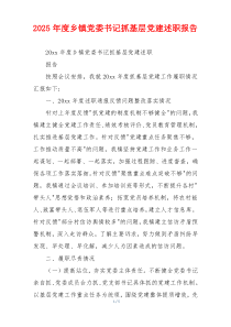 2025年度乡镇党委书记抓基层党建述职报告