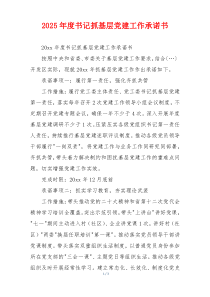 2025年度书记抓基层党建工作承诺书