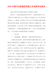 2025年度书记抓基层党建工作述职评议报告
