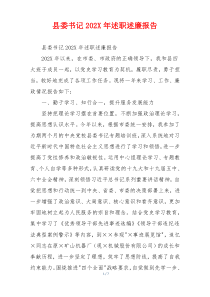 县委书记202X年述职述廉报告