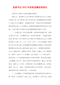 县委书记202X年述职述廉述效报告