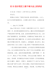 在XX县示范区三级干部大会上的讲话