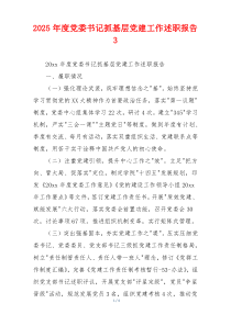 2025年度党委书记抓基层党建工作述职报告 3