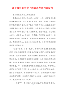 在干部任职大会上的表态发言代表发言