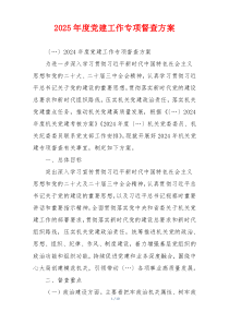 2025年度党建工作专项督查方案