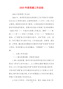 2025年度党建工作总结