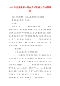 2025年度党建第一责任人抓党建工作述职报告