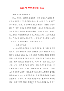2025年度党建述职报告