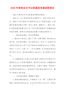 2025年度党总支书记抓基层党建述职报告