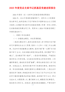 2025年度党总支部书记抓基层党建述职报告