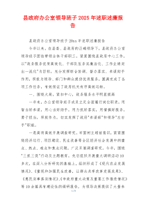 县政府办公室领导班子2025年述职述廉报告