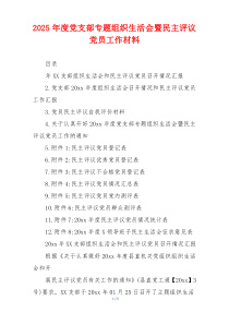 2025年度党支部专题组织生活会暨民主评议党员工作材料