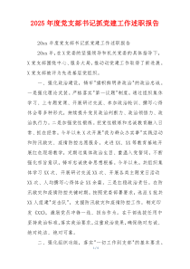2025年度党支部书记抓党建工作述职报告