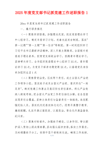 2025年度党支部书记抓党建工作述职报告1
