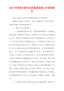 2025年度党支部书记抓基层党建工作述职报告