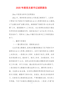 2025年度党支部书记述职报告