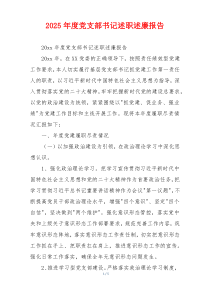 2025年度党支部书记述职述廉报告