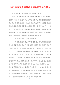 2025年度党支部组织生活会召开情况报告