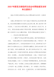 2025年度党支部组织生活会对照检查发言材料支委班子
