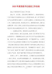 2025年度党组书记述法工作总结