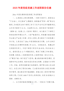 2025年度党组党建工作述职报告住建