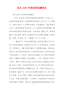 县长2025年度述职述廉报告