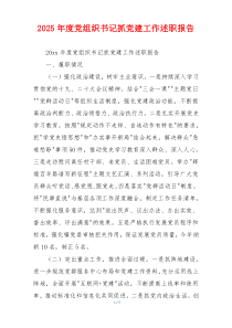 2025年度党组织书记抓党建工作述职报告