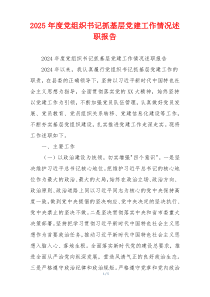 2025年度党组织书记抓基层党建工作情况述职报告