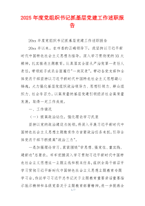 2025年度党组织书记抓基层党建工作述职报告