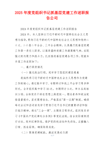 2025年度党组织书记抓基层党建工作述职报告公司