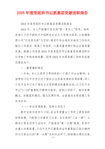 2025年度党组织书记抓基层党建述职报告