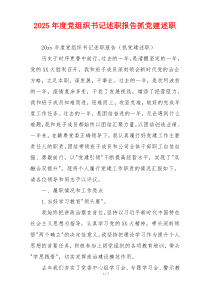 2025年度党组织书记述职报告抓党建述职