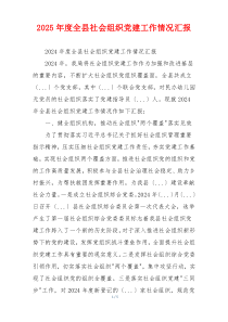 2025年度全县社会组织党建工作情况汇报