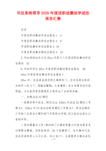 司法系统领导2025年度述职述廉述学述法报告汇集
