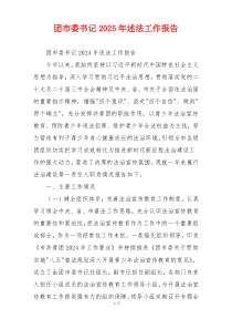 团市委书记2025年述法工作报告