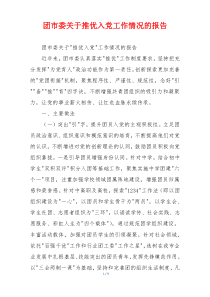团市委关于推优入党工作情况的报告