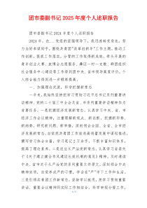 团市委副书记2025年度个人述职报告