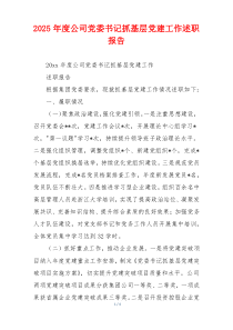 2025年度公司党委书记抓基层党建工作述职报告