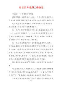 市202X年组织工作综述
