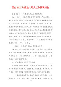 国企202X年度选人用人工作情况报告